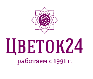 Цветок 24 - Доставка цветов в Красноярске - Город Красноярск logo2.png